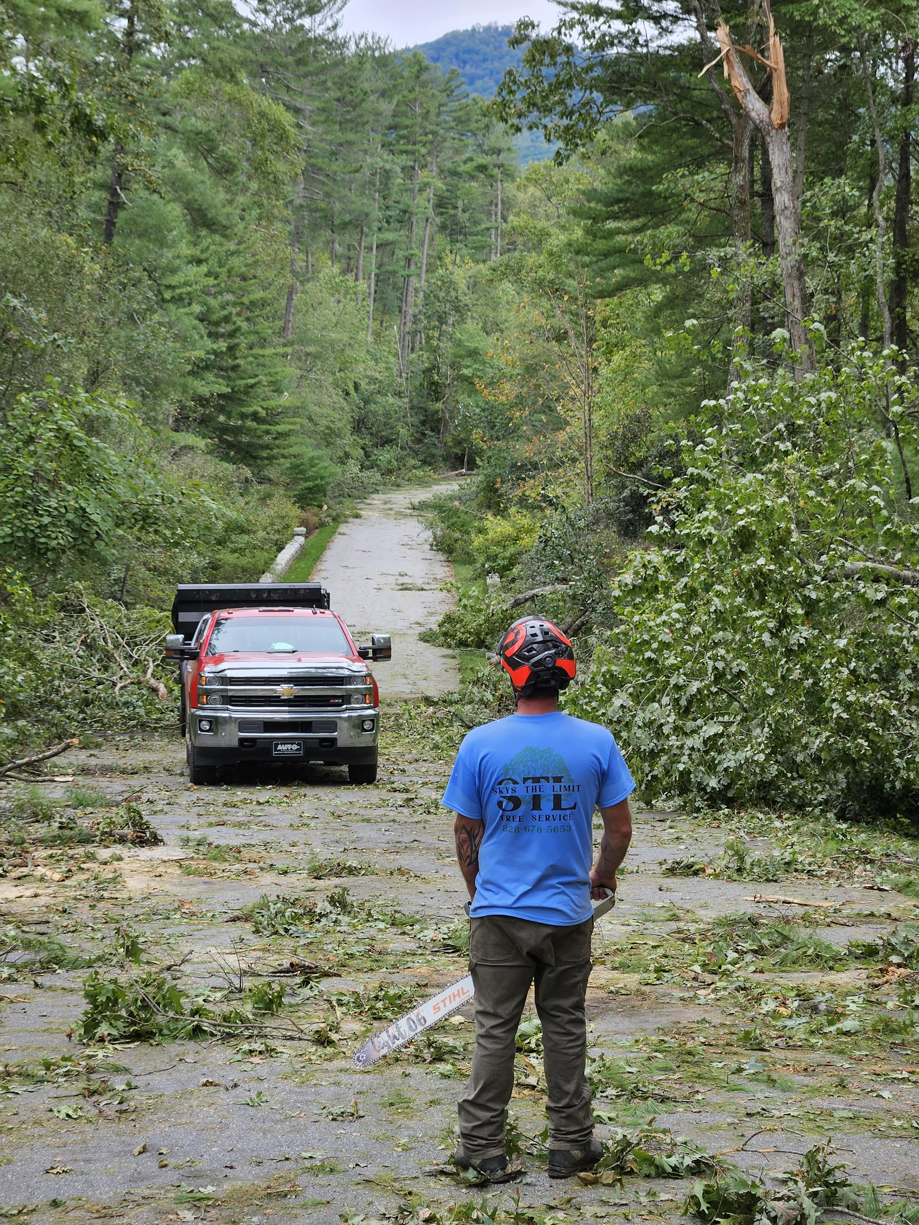 Green Sneakers project 2
