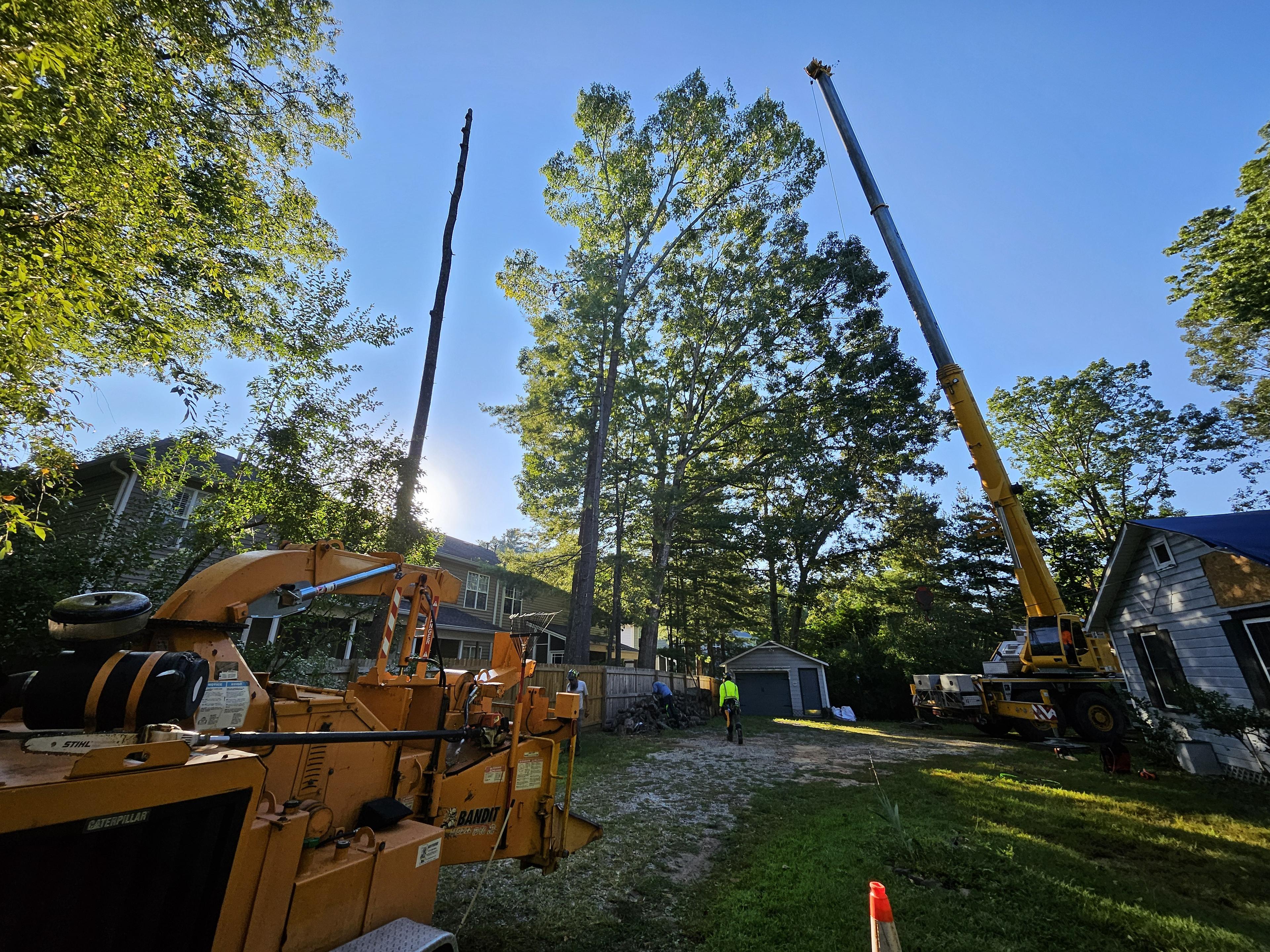 Green Sneakers project 5