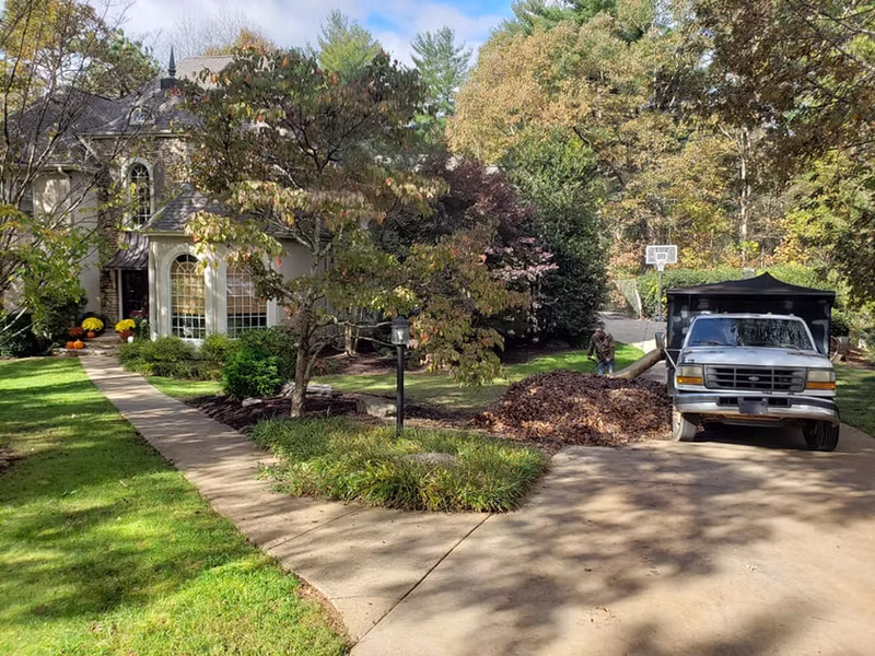 Fall Leaf Removal